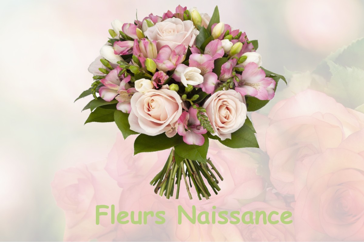 fleurs naissance SAINT-LAURENT-DE-LA-SALLE