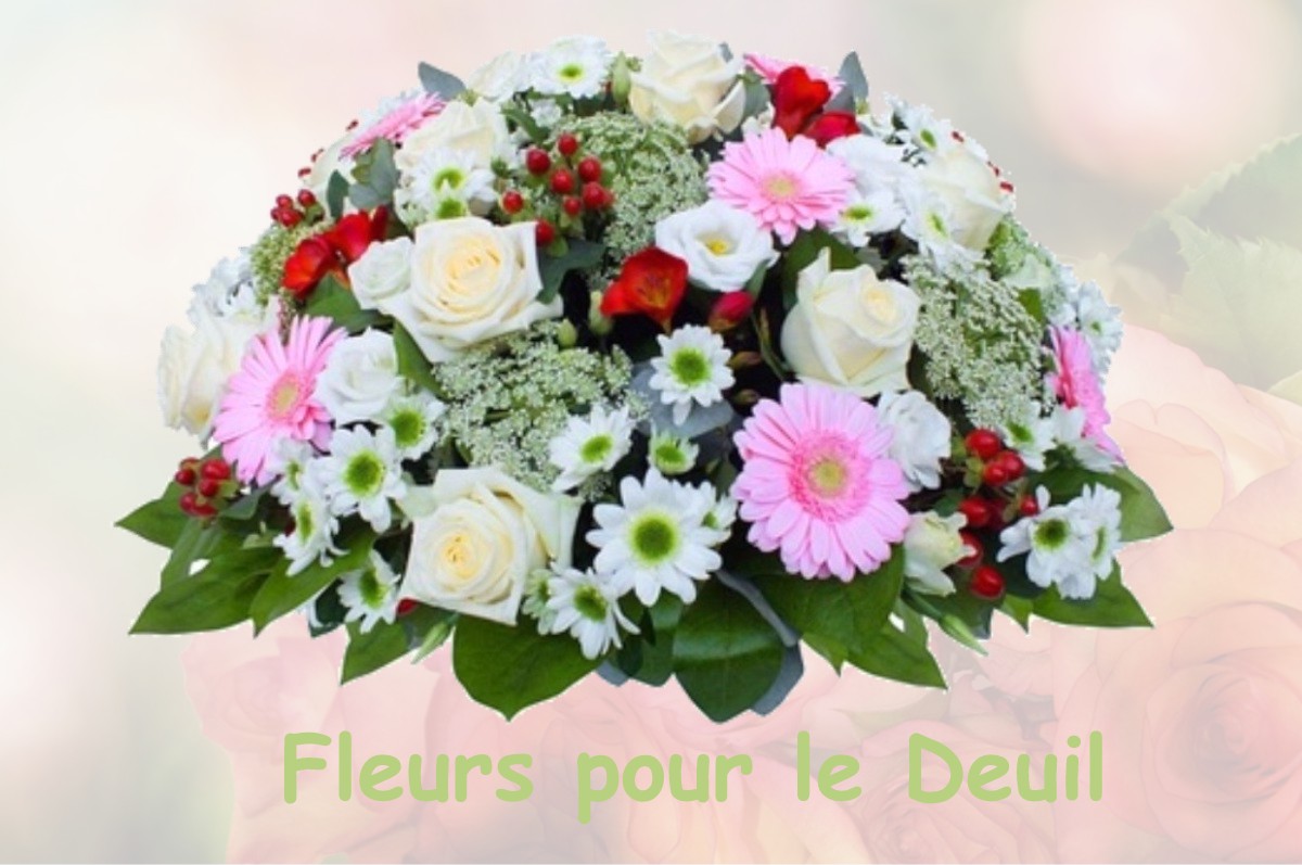 fleurs deuil SAINT-LAURENT-DE-LA-SALLE